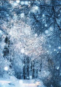 🏴雪山に住んでる私は五人の人外を拾う