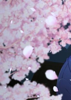 元殺し屋の私。なぜかギャングからモテまくってます。