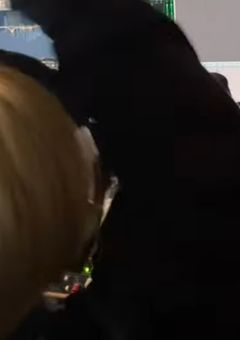 賽の目7番目