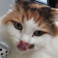 Rdo0601さんのアイコン画像