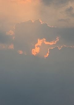 貴方は知らない誰かの日記