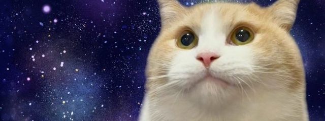 猫田（多忙の為更新停止中）さんの壁紙画像