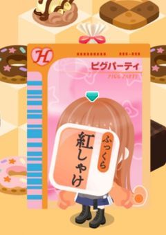 活動報告