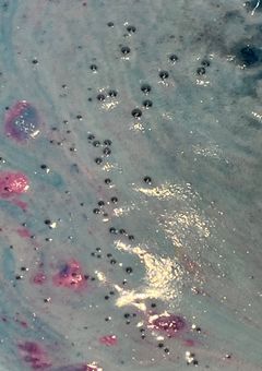 みのりの恋は春風に乗って