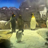 ゆうさんのアイコン画像