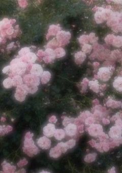 この気持ち引かないでね