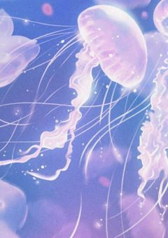 🌀くるくるめぇまわれ🌀