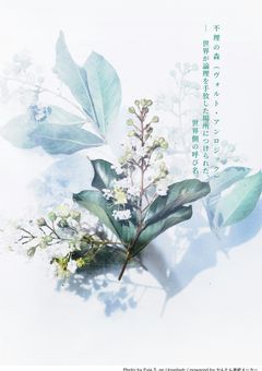 不理の森― 世界が理を手放した場所につけられた、 世界側の呼び名。〈全6章〉