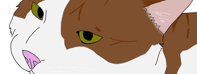 晴れさんの壁紙画像