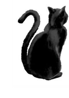 　黒猫との恋愛は夢のようにいかない　？