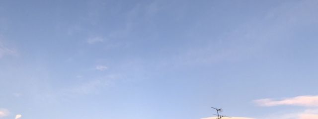 れののののさんの壁紙画像