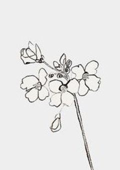 　✧ ‖　鏡の 世界の 向こう側 ♪