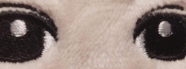 maiさんの壁紙画像