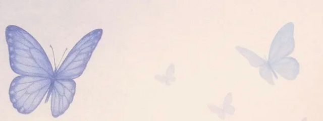 Ponさんの壁紙画像