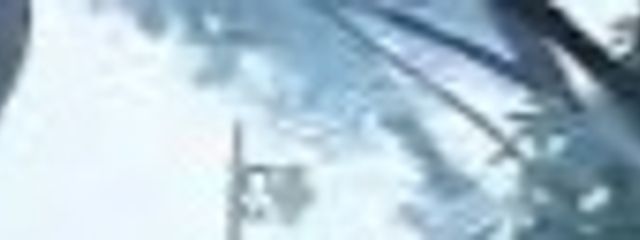 ちば犬☁️☔️さんの壁紙画像