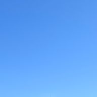 ちば犬☁️☔️さんのアイコン画像