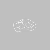 詩音さんのアイコン画像