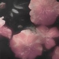 名無しです 〜さんのアイコン画像