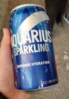 のんふぃくしょん