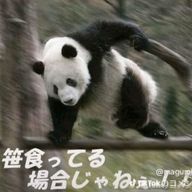.°ʚ˗ˏˋ 姫野　優夏˗ ˎˊ˗ ɞ°.‎さんのアイコン画像