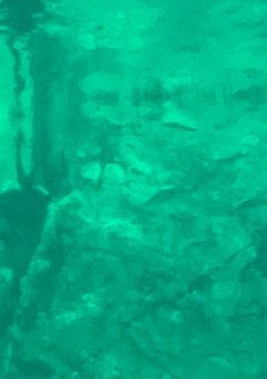 推しからのファンサが止まりません⁉︎改