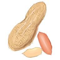 ねぅさんのアイコン画像