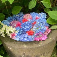 ＭＩ✨さんのアイコン画像