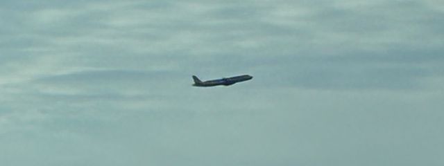 根性さんの壁紙画像