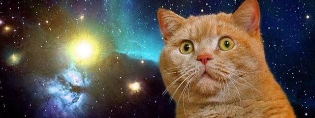 灯橋 / あかりばしさんの壁紙画像