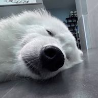 jphcさんのアイコン画像