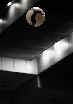 　眠れる天才セッター　　