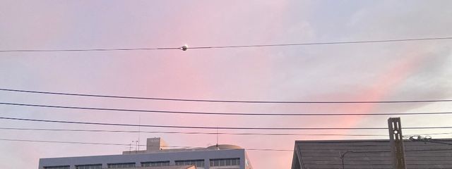 す ず  🪽  @フォロバ100%!!💫‎🤍さんの壁紙画像