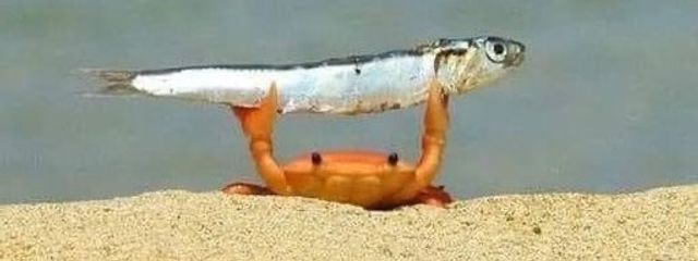 ゆいさんの壁紙画像