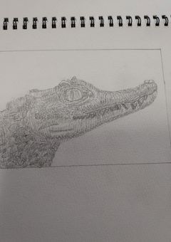久しぶり