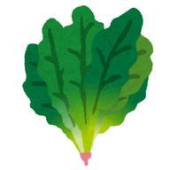 ほうれん草だyoさんのアイコン画像