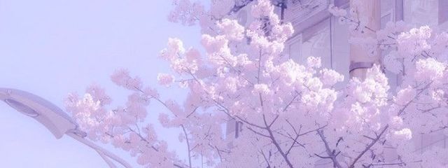 # N e a . さんの壁紙画像