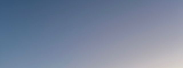 海月さんの壁紙画像