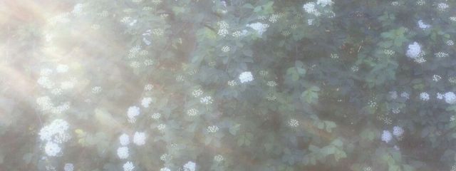 ⠀ ⠀ 梁さんの壁紙画像