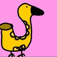 🍀𝕚𝕣𝕠𝕙𝕒🌙さんのアイコン画像