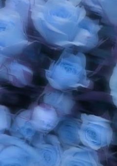 来世は貴方に知られる前に____