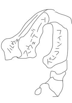 地理を頑張ろう!!