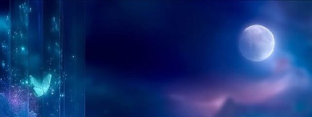 のんさんの壁紙画像