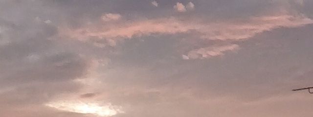 ﾂﾂｷさんの壁紙画像