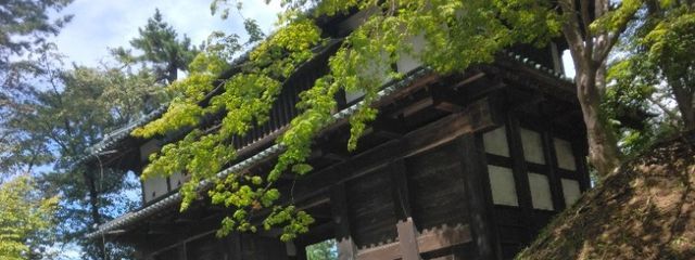 治也さんの壁紙画像