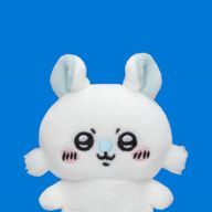 ✬さんのアイコン画像