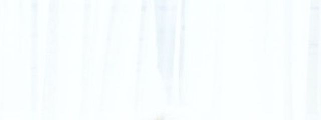 𝙈𝙞𝙧𝙪さんの壁紙画像