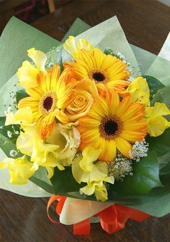 余命1年の僕が余命半年の君に出会った話。