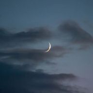 ㅎㅍㅎさんのアイコン画像