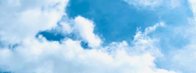 𝕣𝕚𝕟𝕠🏐🐰さんの壁紙画像