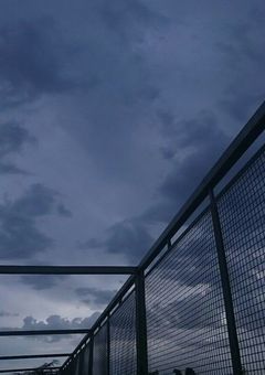 亡き愛猫がくれた奇跡